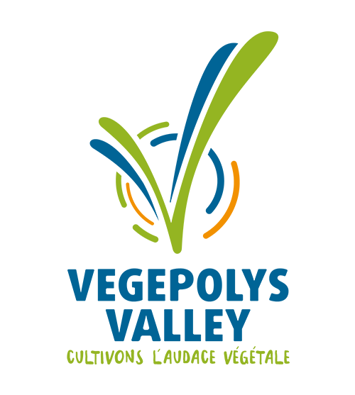 test-vegepolys-valley