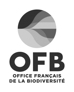 OFB OK